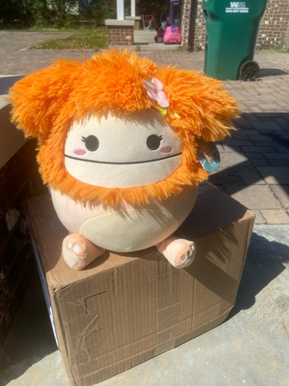 SQUISHMALLOW SHASTA with Flower Accent - Picture 1 of 6